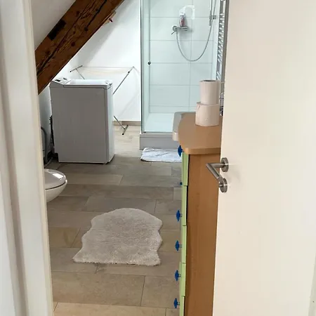 Entire Unit In - Weinstrasse, Centre, Germany Apartman